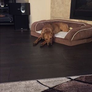 Meet your Posher, Tatiana